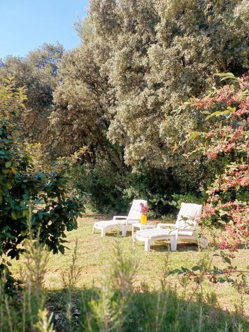 Peyrolles-en-Provence Studio Avec Jardin Entre Aix-En-Provence, Luberon Et Verdon מראה חיצוני תמונה